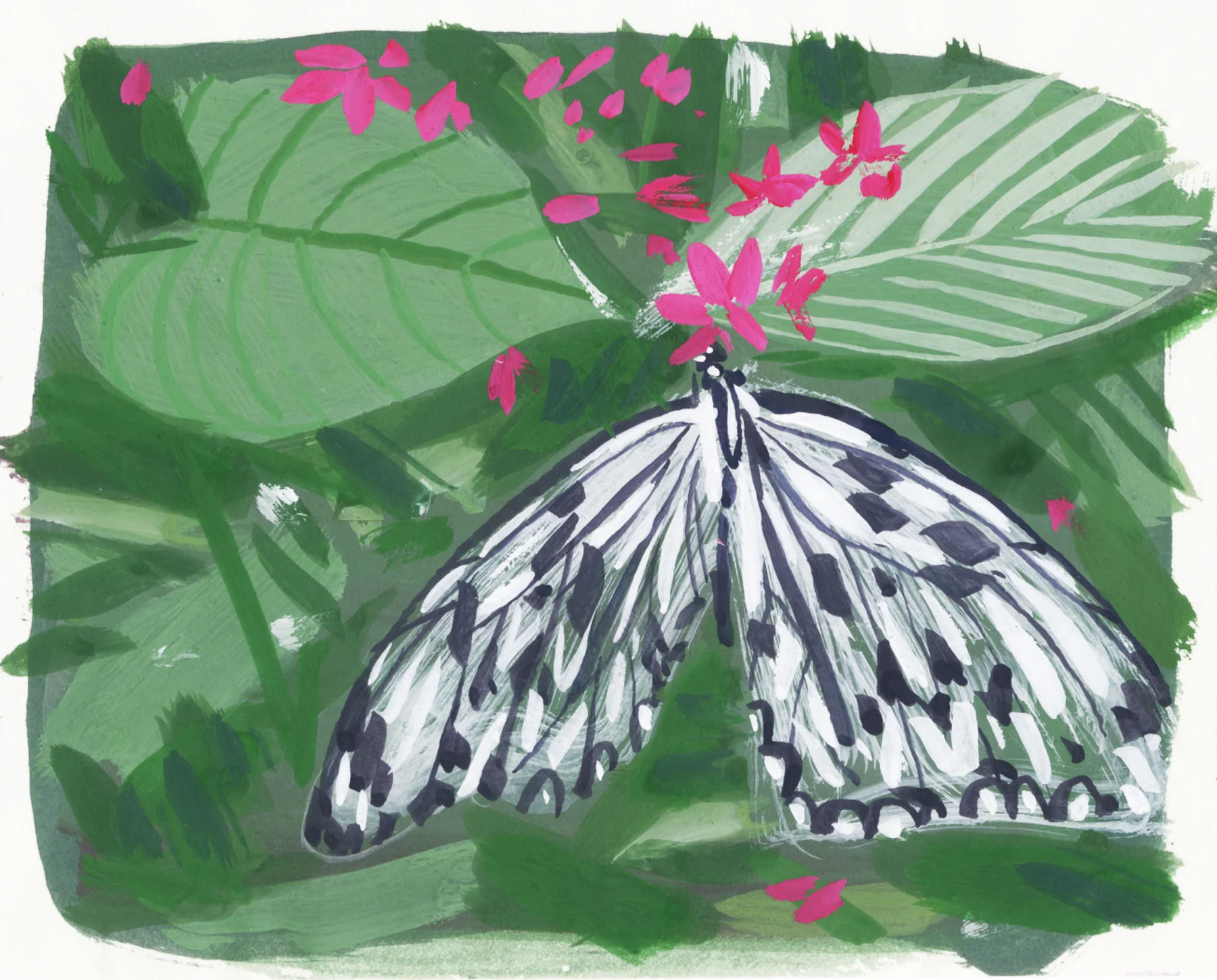 DC Gouache workshop butterfly wbst.jpg