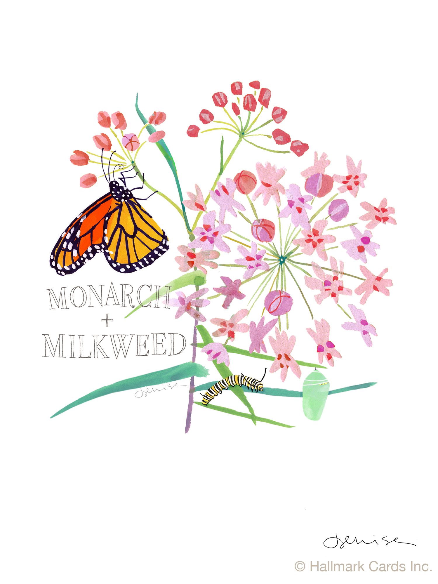 Monarch.Milkweed print.jpg