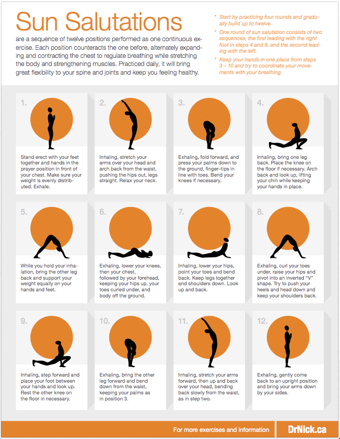 Sun Salutations and Yoga — Dr. Nick | Chiropractic, Soft Tissue Therapy ...