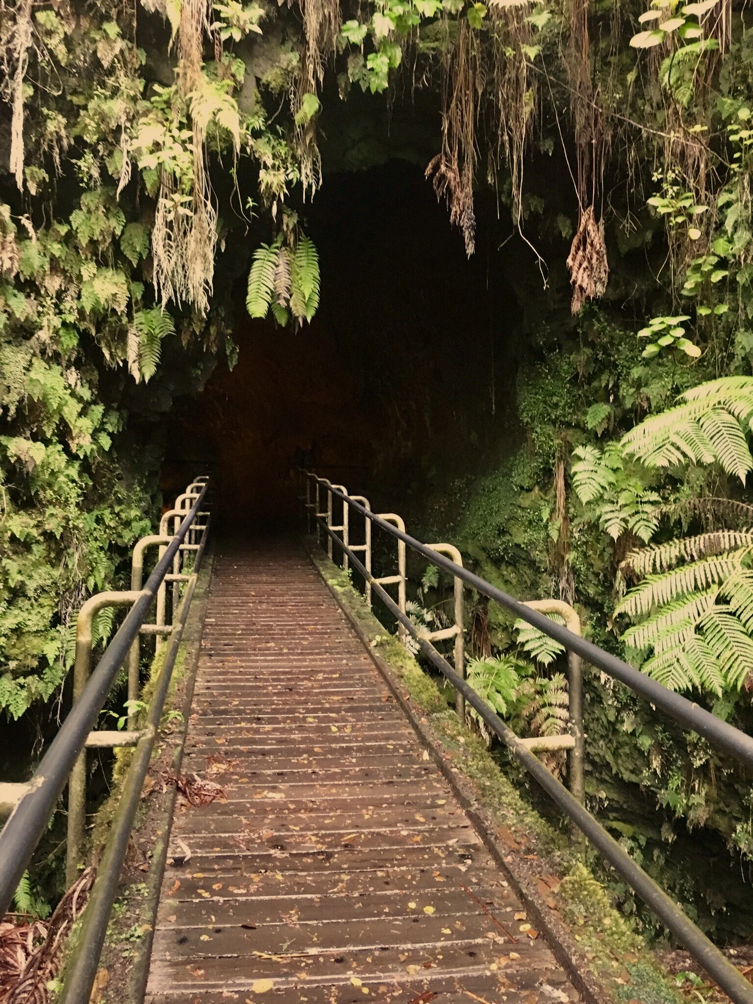 Lava TUbe Entrance, Big ISland of Hawaii