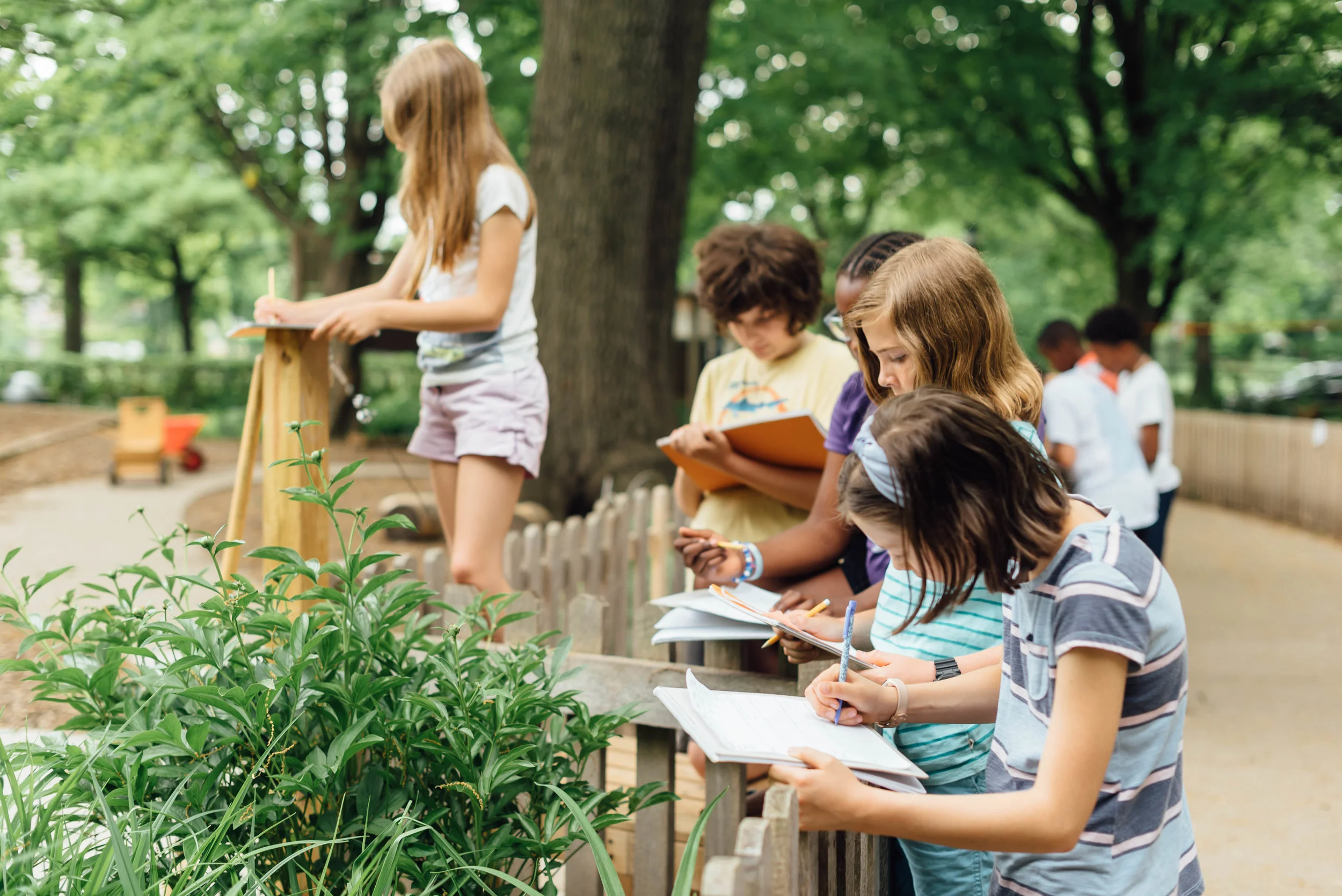 Detroit Waldorf School