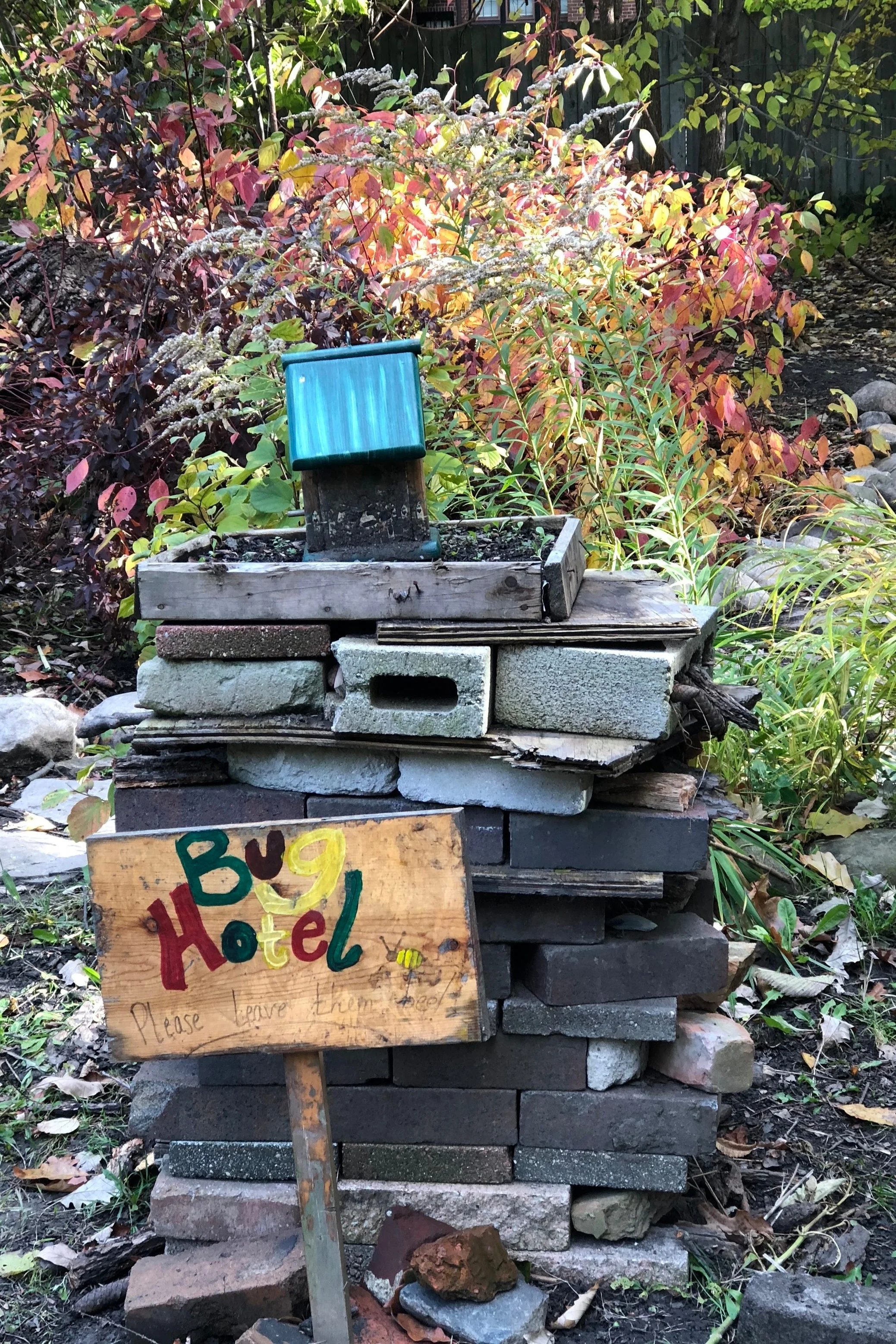 When I taught the creative writing club last fall, we found Detroit Waldorf’s Bug Hotel hiking outside the school.