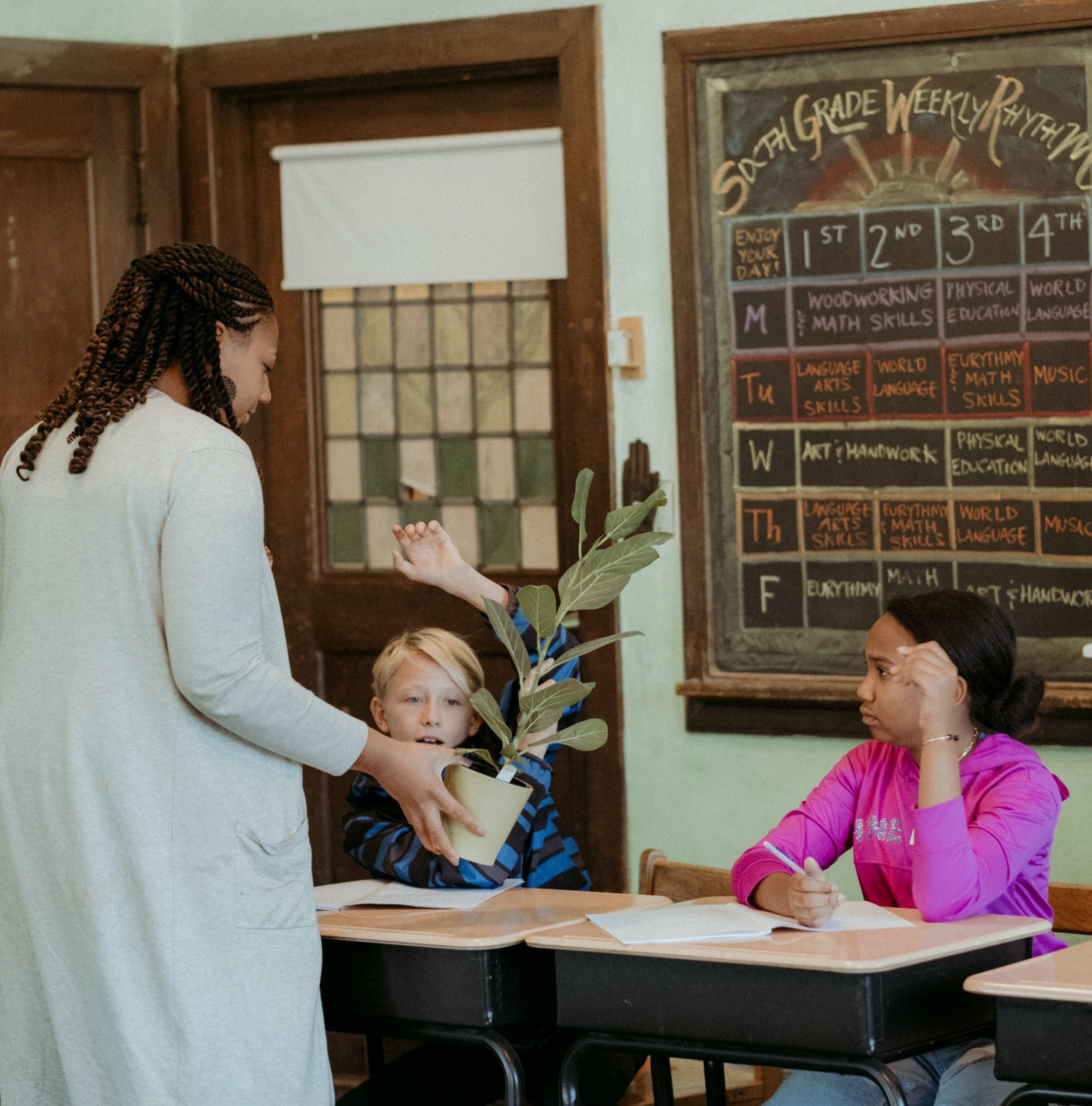 Mission, Vision, and Values — Detroit Waldorf School