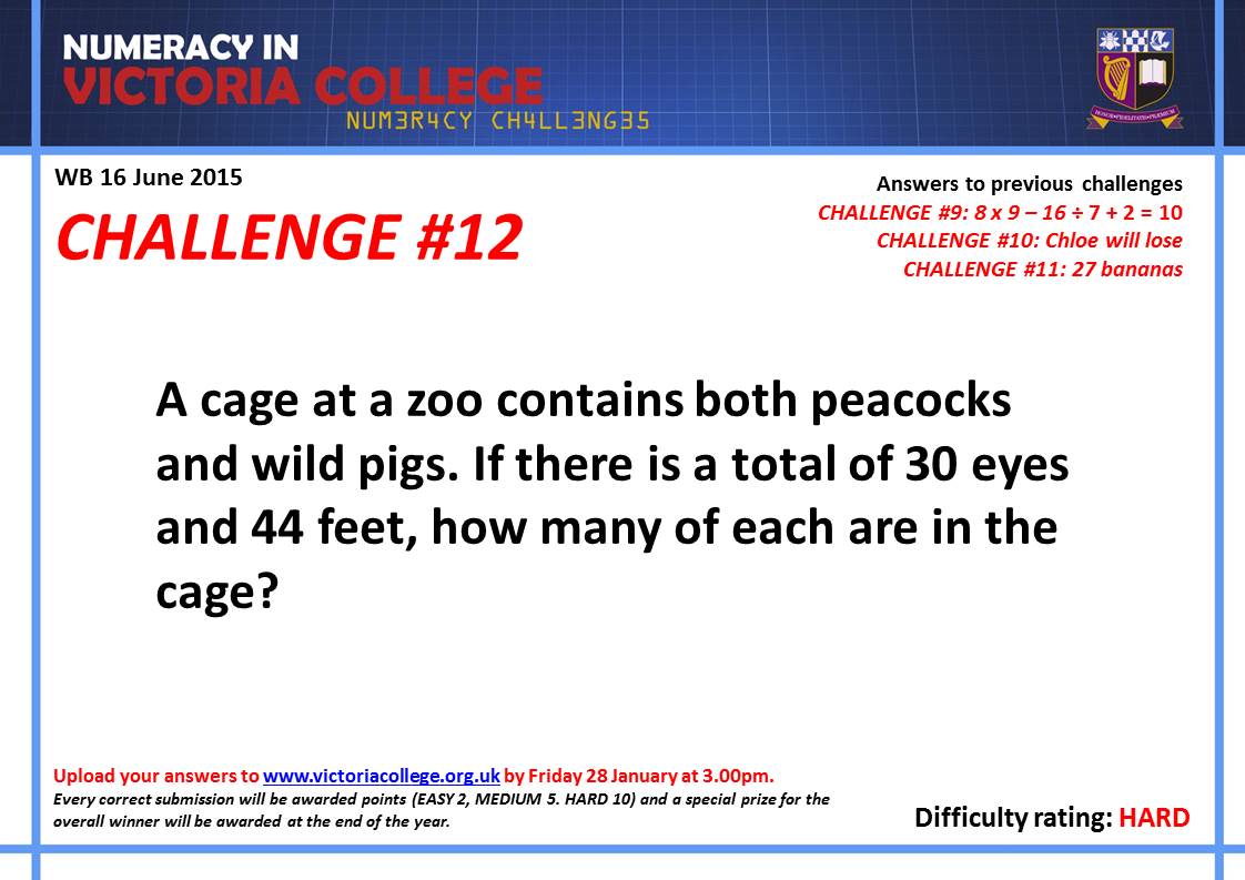 download (2).jpeg