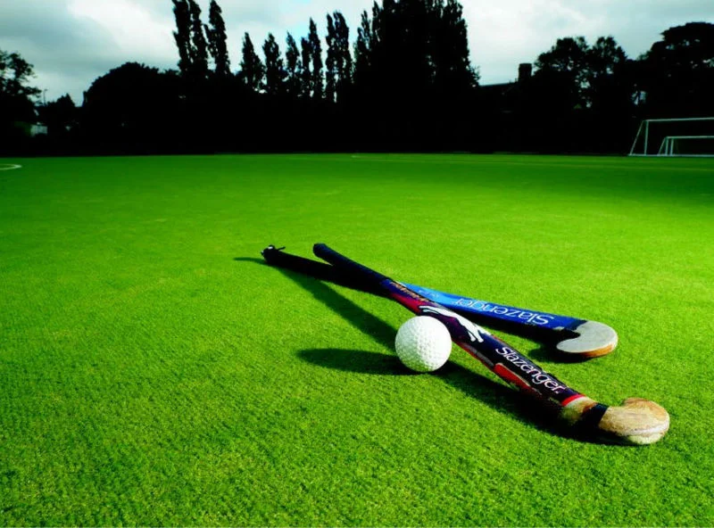 artificial_grass_for_baseball_hockey_fields.jpg