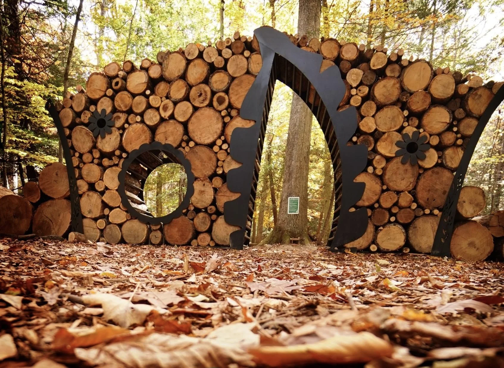 Untitled (Fairy Garden Entrance), 2025. 