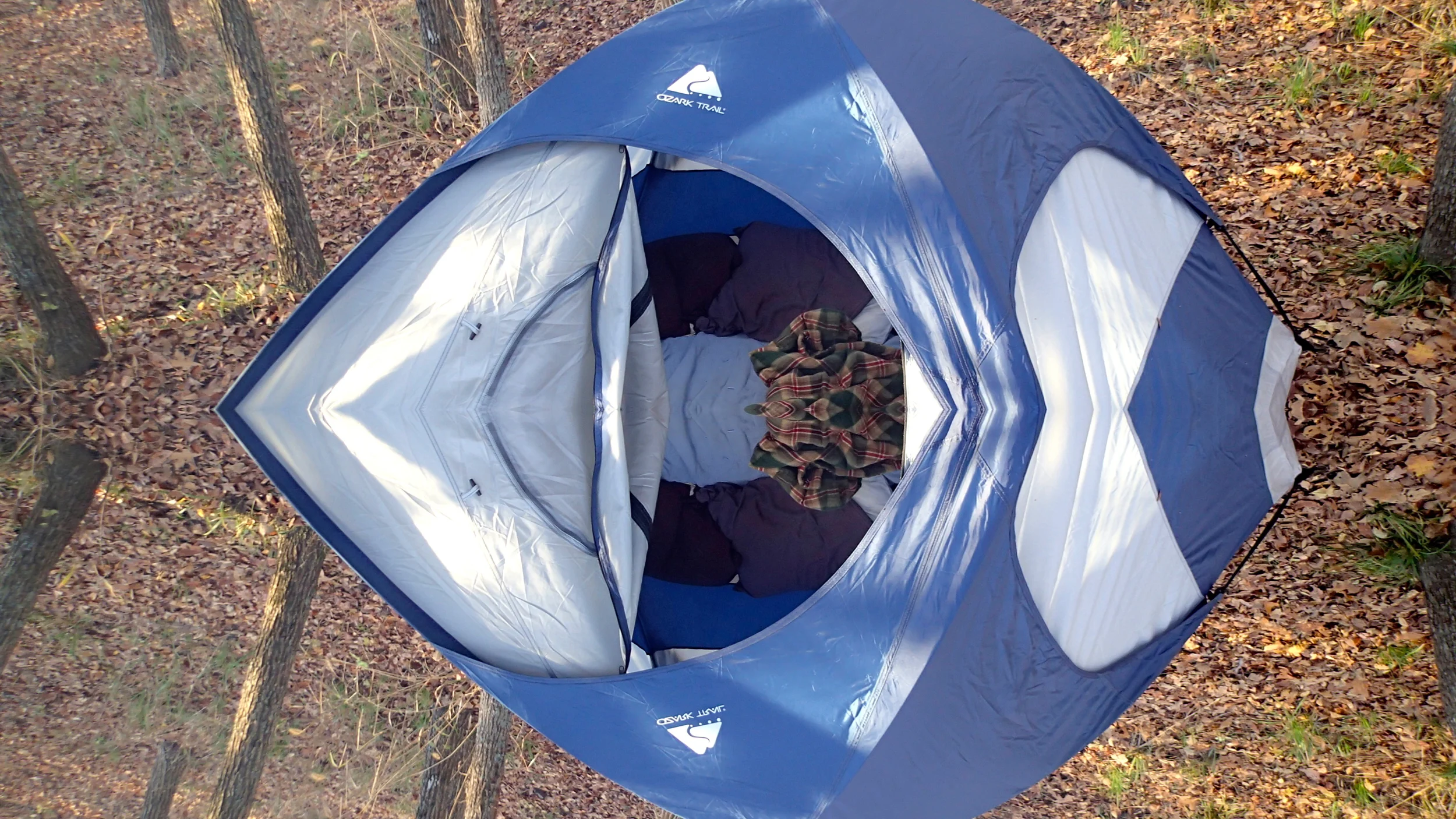 Nest