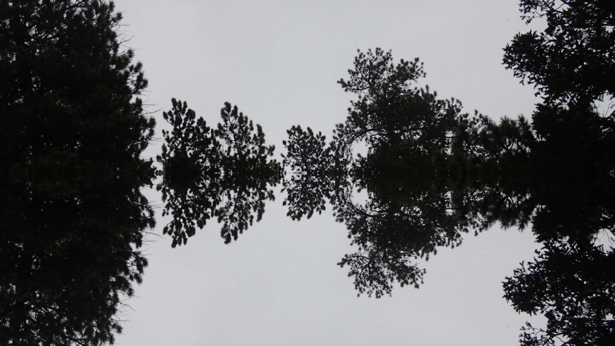 Above