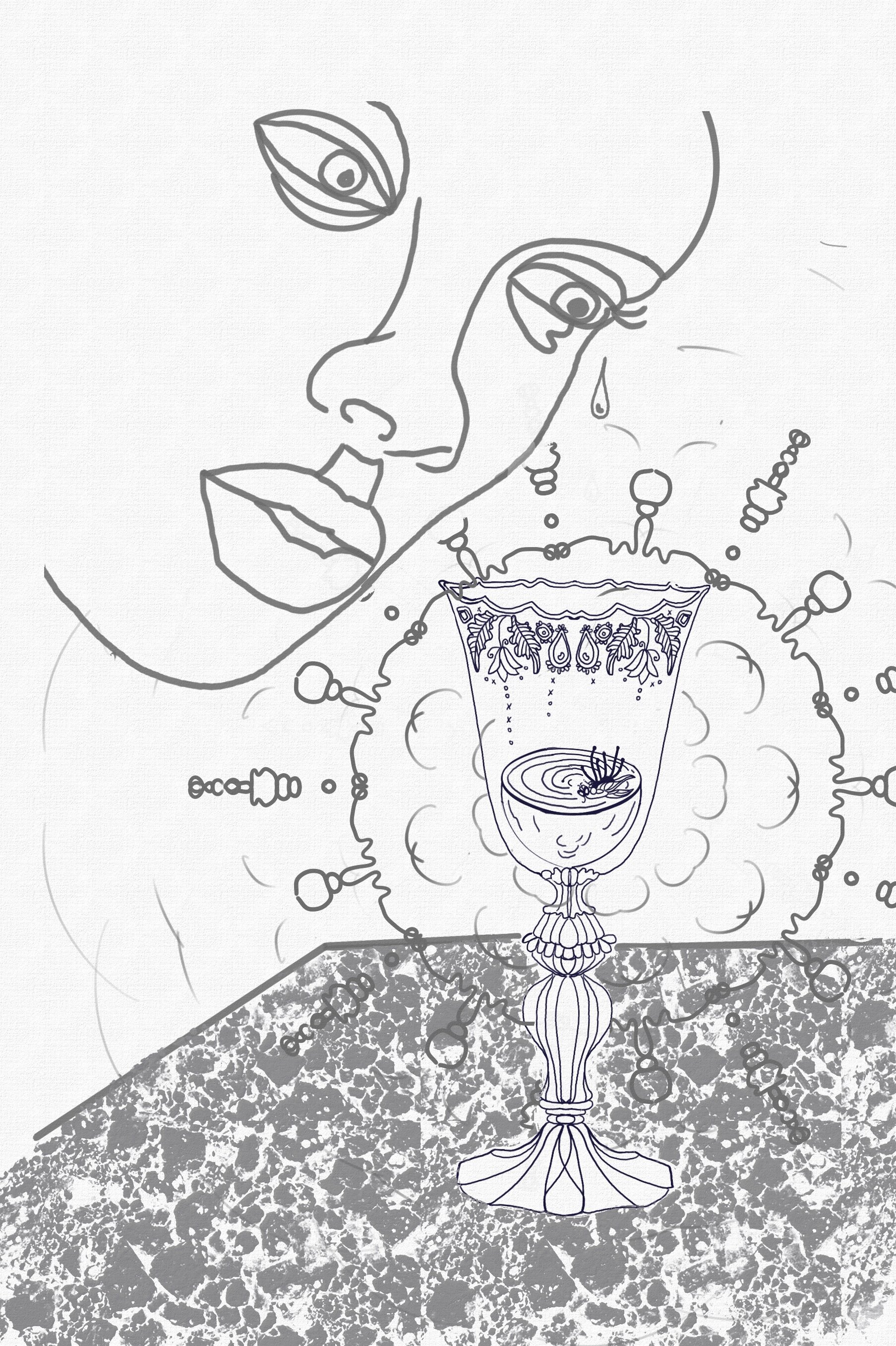 Observation of the Life of a Fly