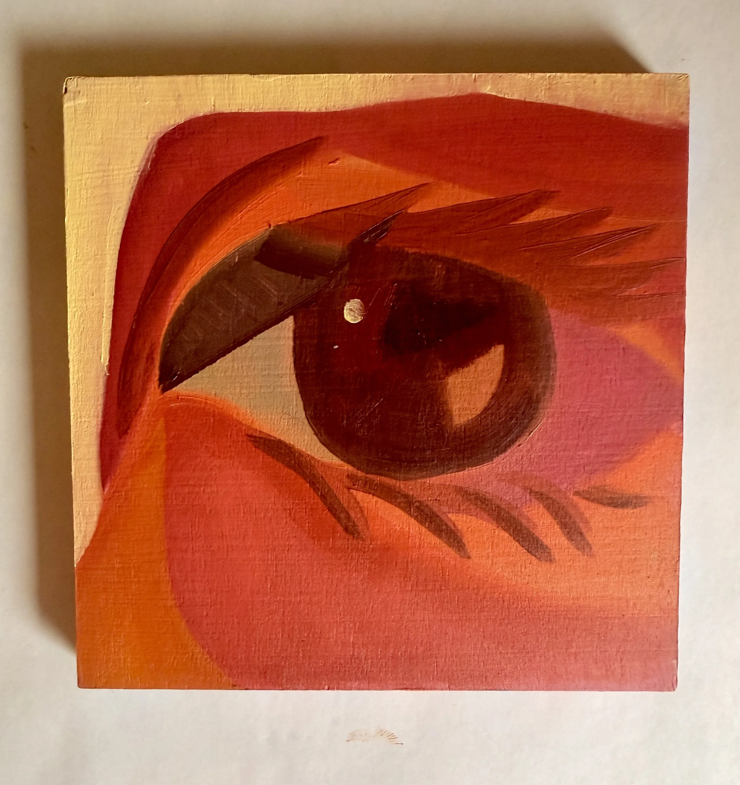 no 66