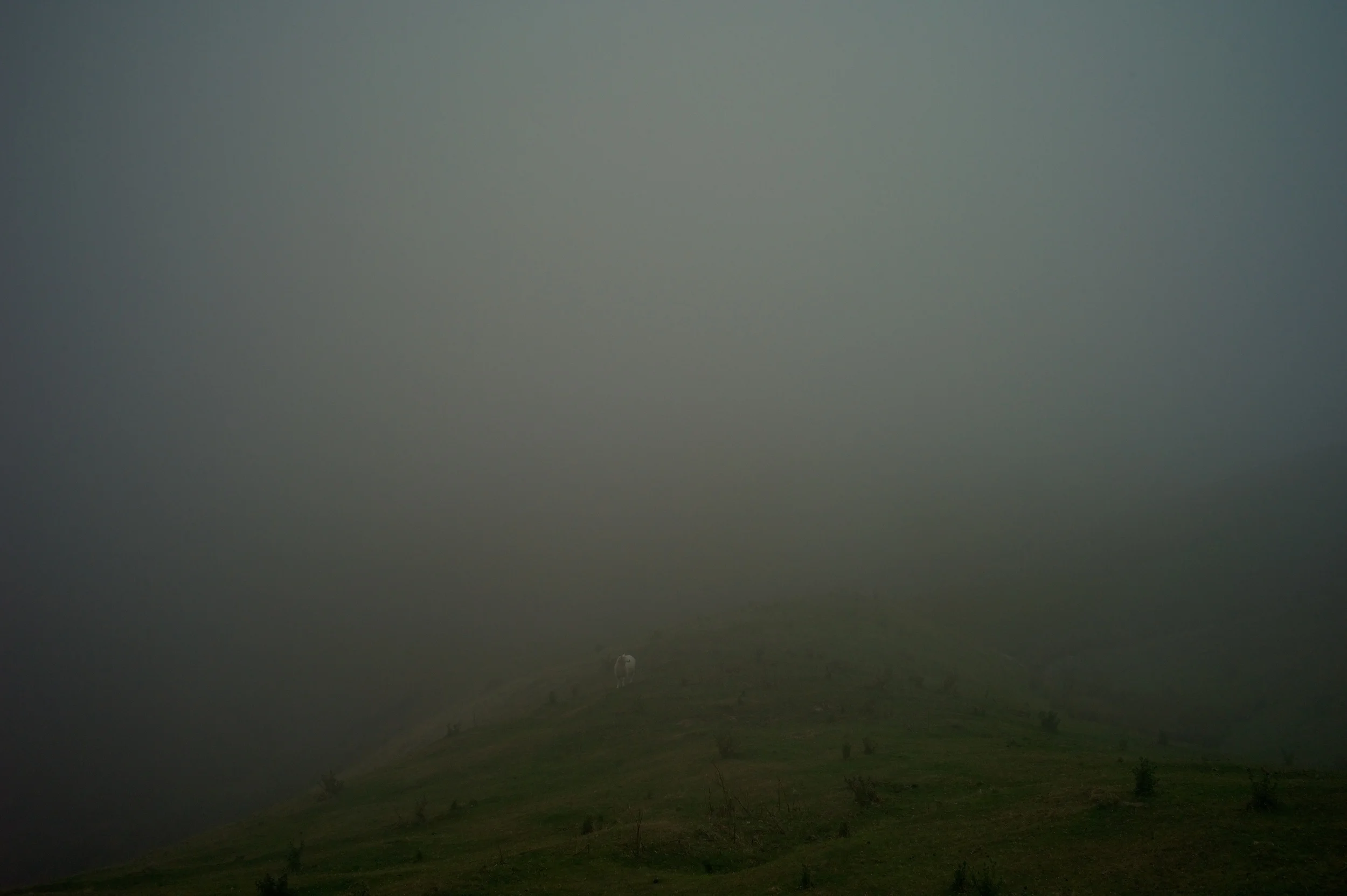 010_L1011762.JPG