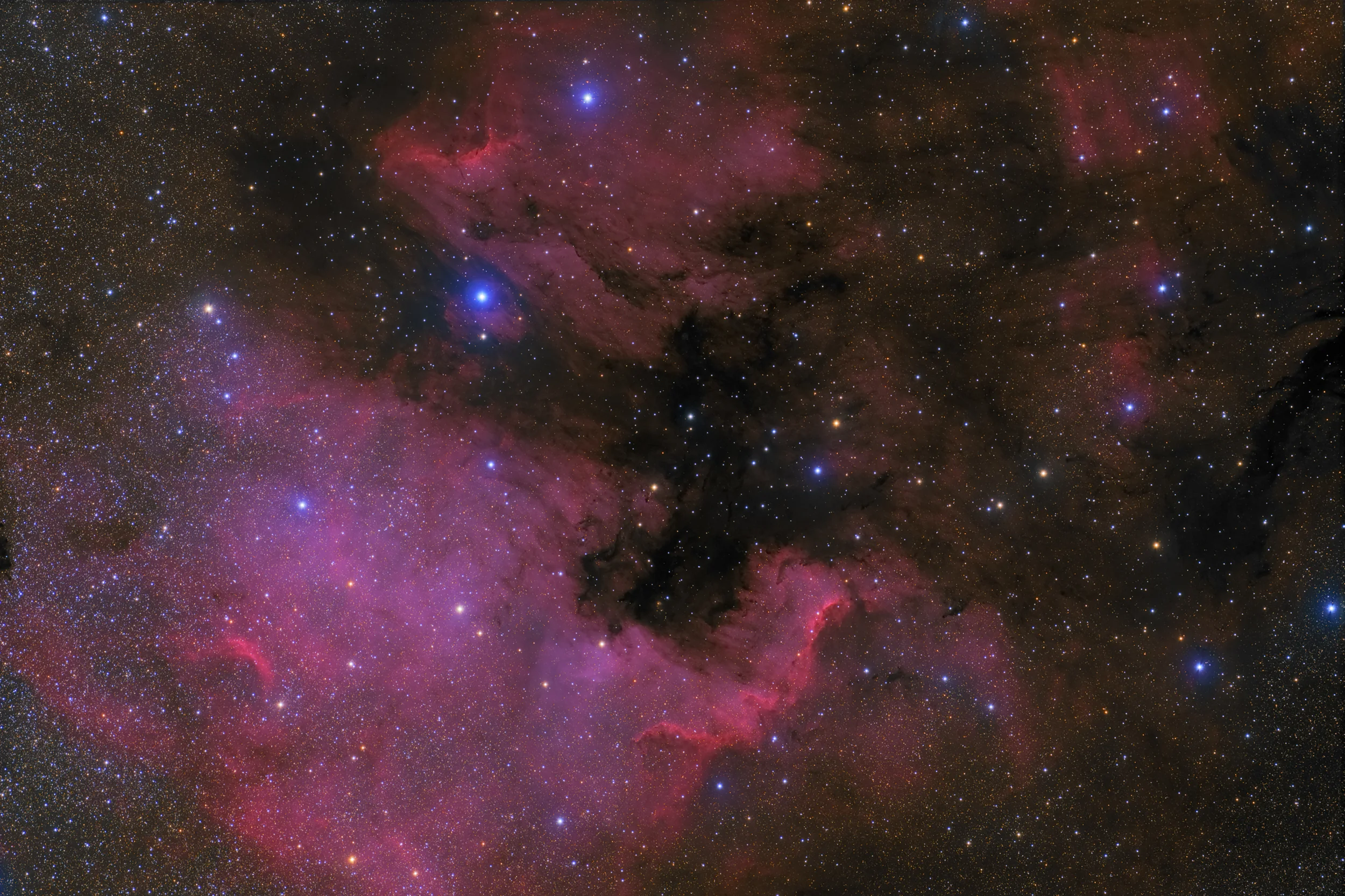 NGC 7000 and IC 5070 - The North American Nebula and The Pelican Nebula