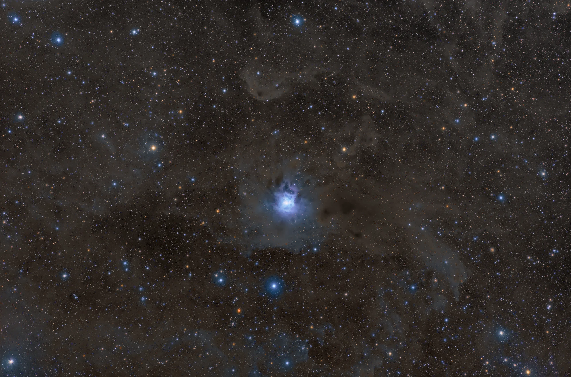 NGC 7023 - The Iris Nebula