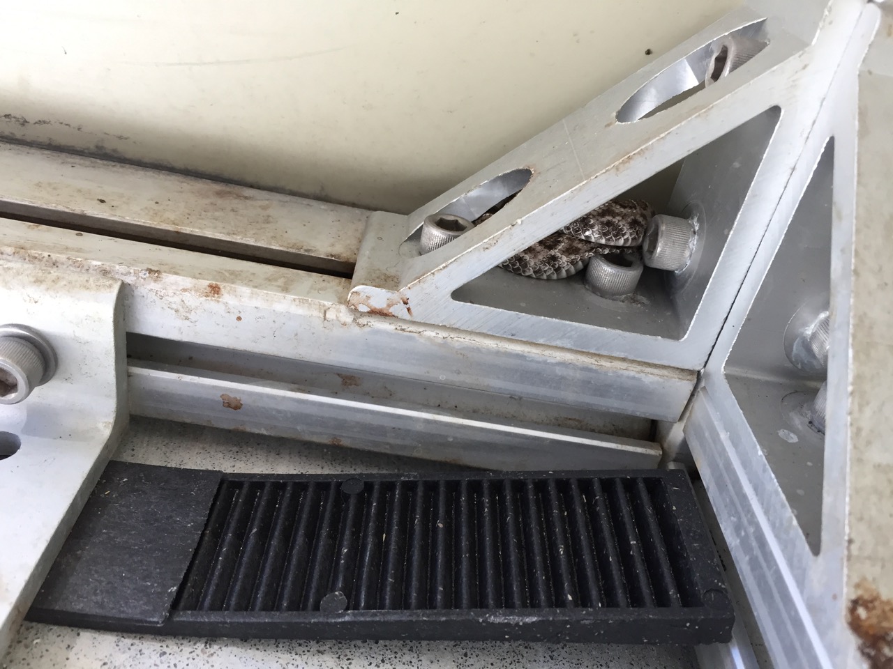 Found this tiny Rattlesnake in a corner of the observatory while we were installing the equipment and that's how the observatory got the name "Rattler's Den Observatory".