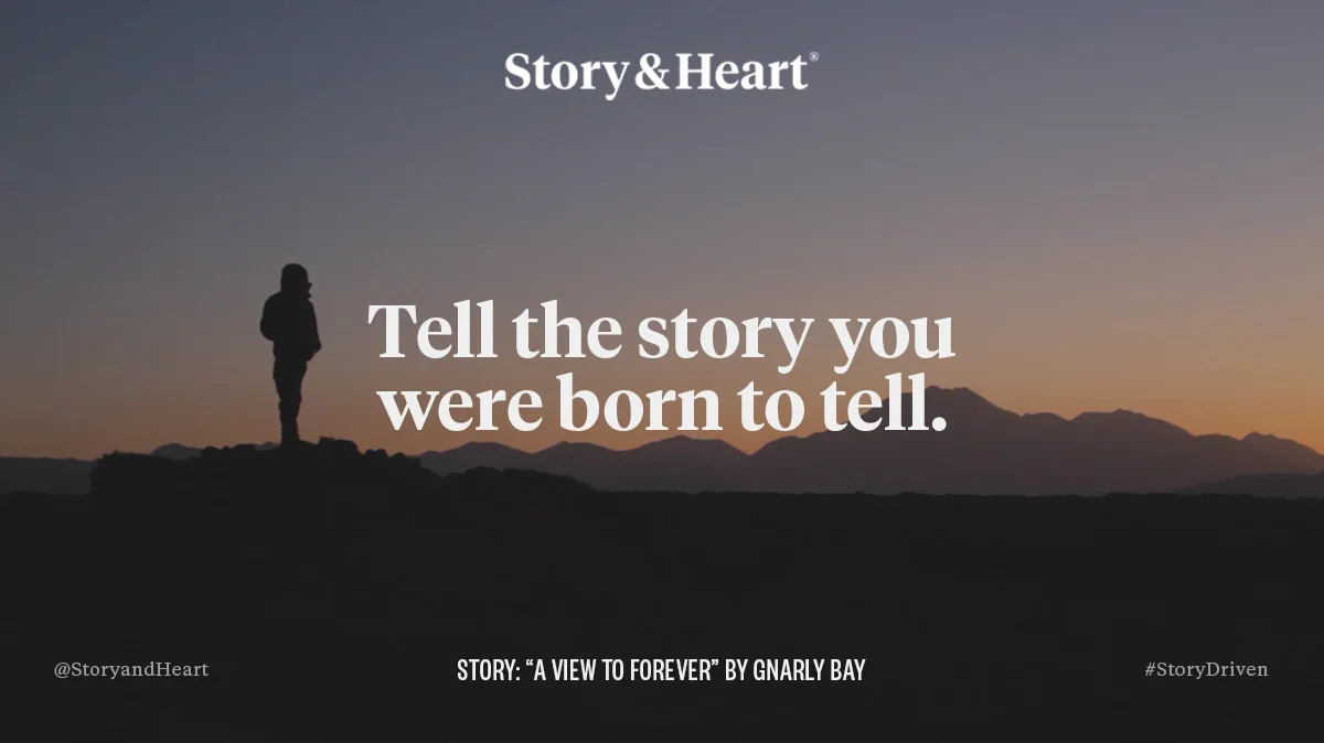 Story by Gnarly Bay