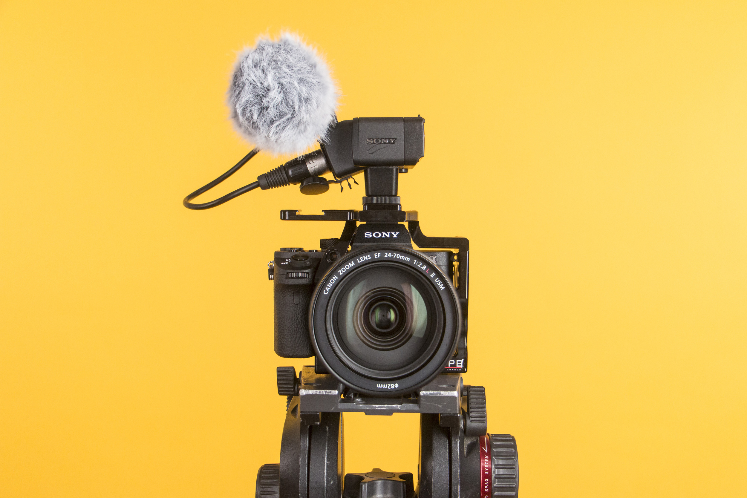 The dead cat windscreen on the Sony XLR K2M