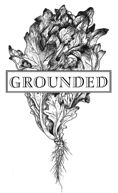 Grounded NY