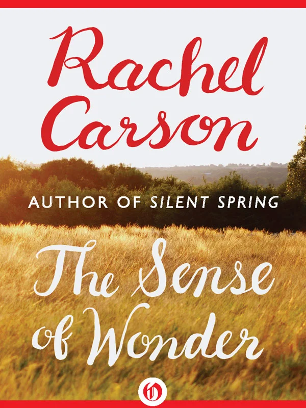sense_of_wonder.jpg