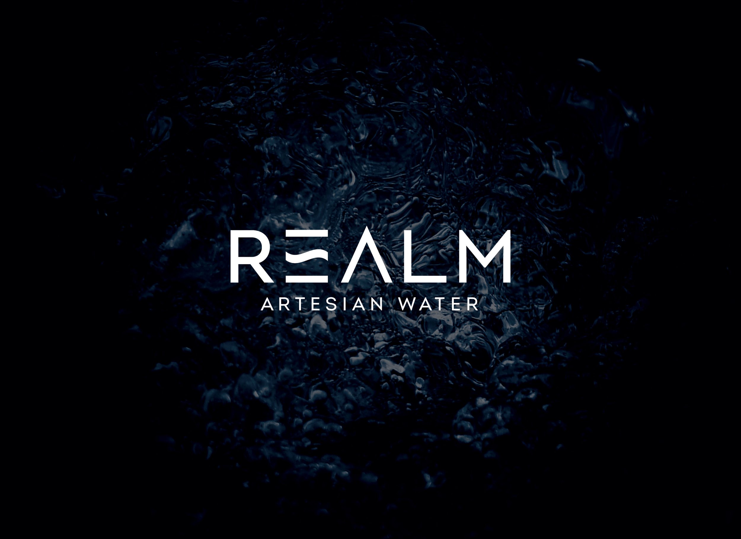 REALM_CS.jpg