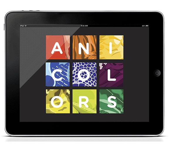Anicolors_Ipad_Application-1.gif