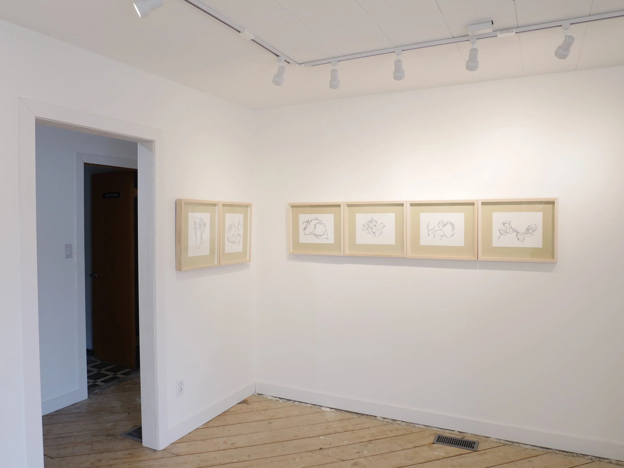 7. A Ring of Wall Installation View.JPG