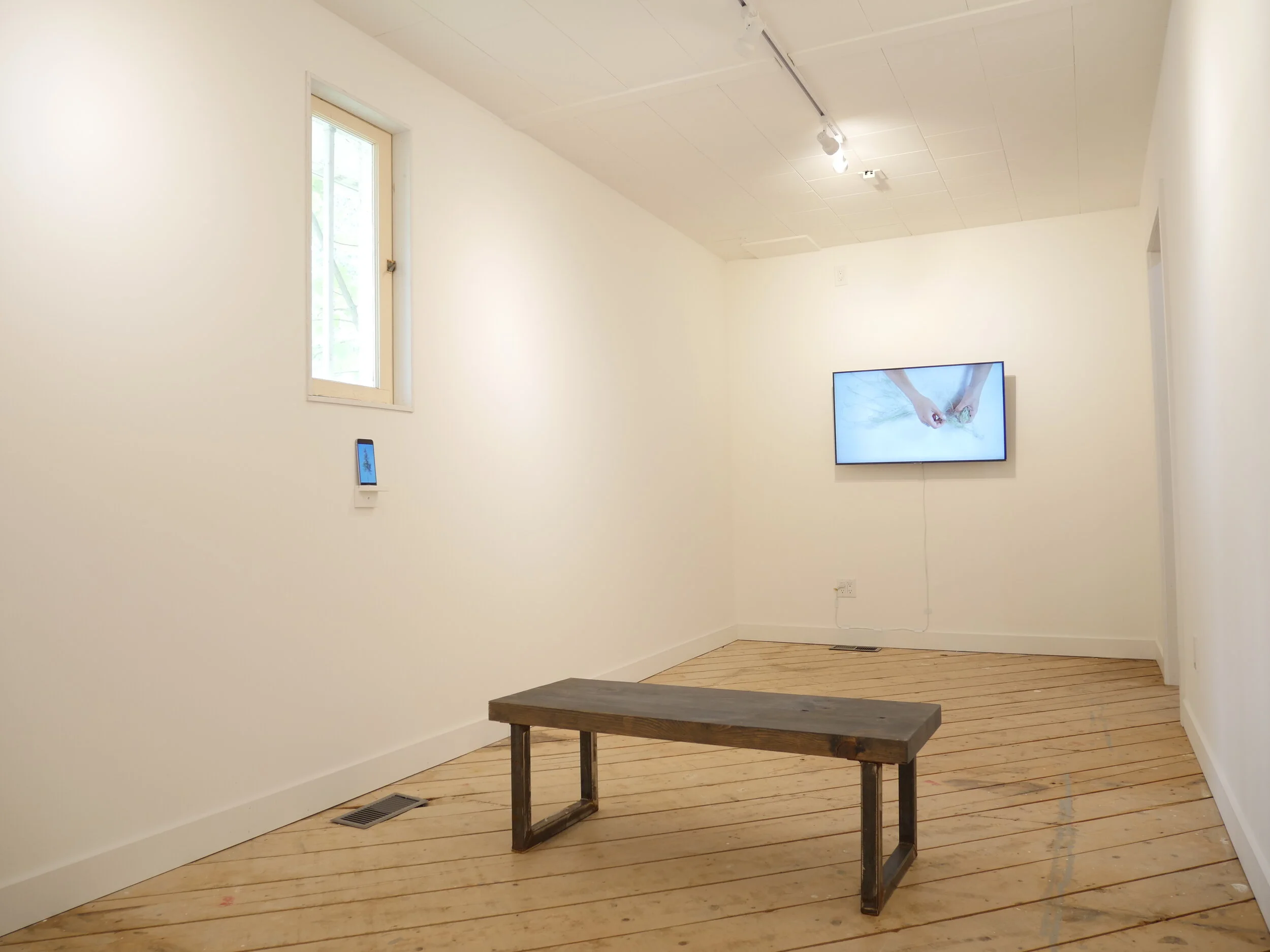 10. A Ring of Wall Installation View.JPG