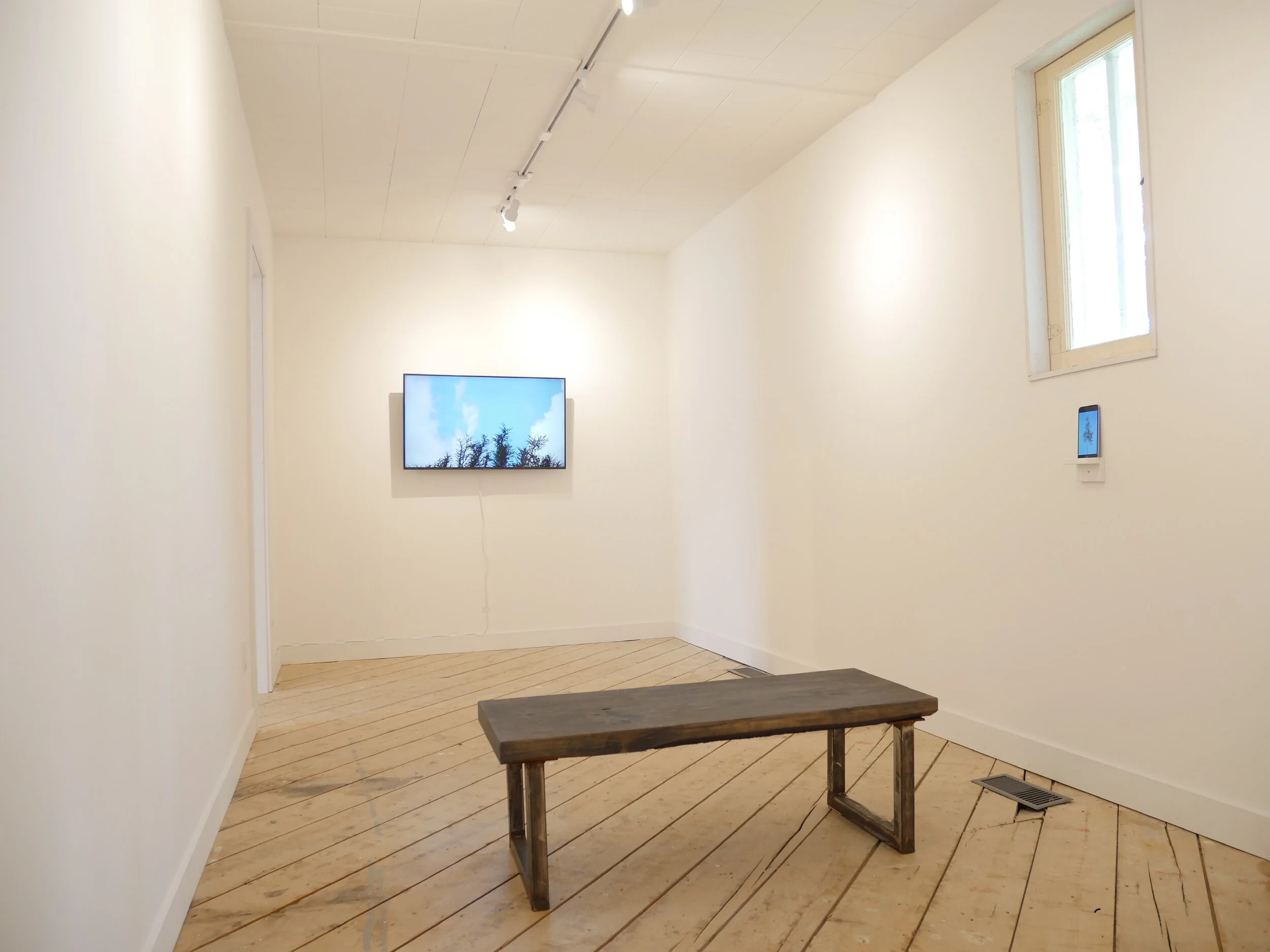 11. A Ring of Wall Installation View.JPG