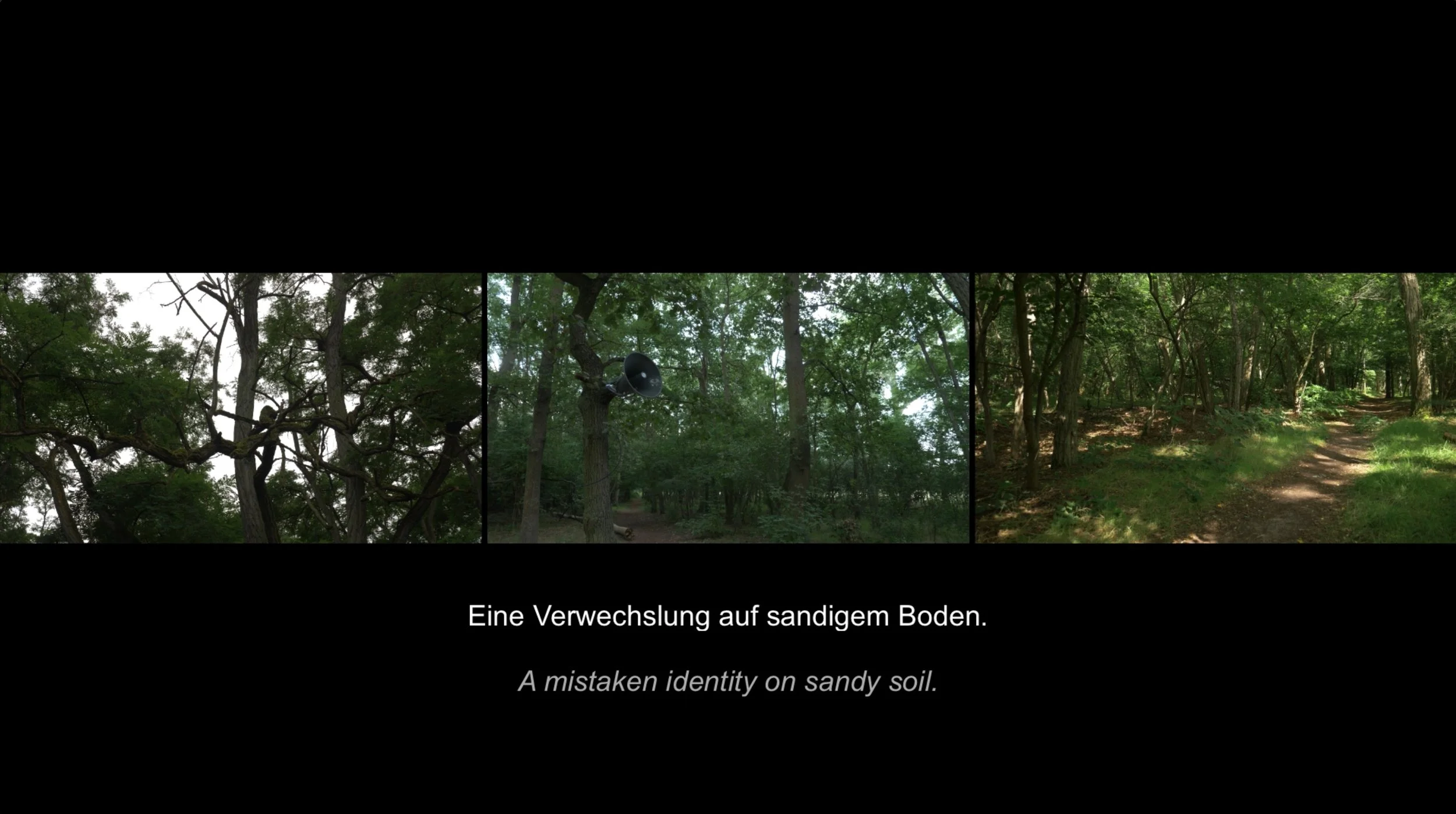 2f_Moschopedis_Rushton_This Planted Place.jpeg