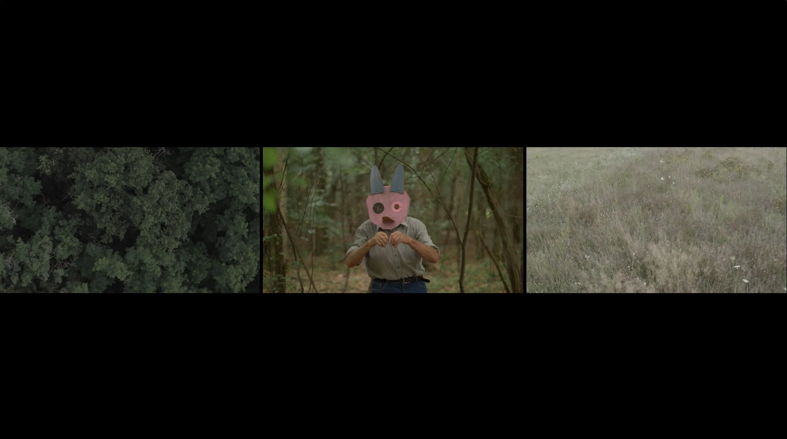 This Planted Place (excerpt)