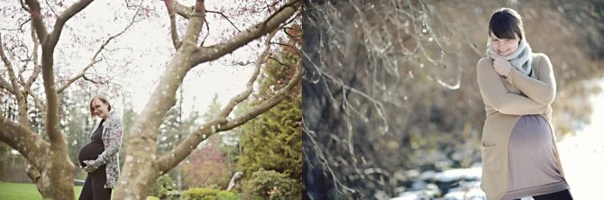 trees