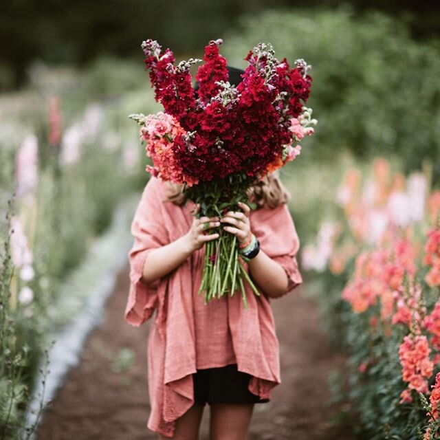 Daydreaming about spring over here and reminiscing about time well spent at @shamrockfarm 🌸 swipe to see Elliot&rsquo;s version of this photo 🤣