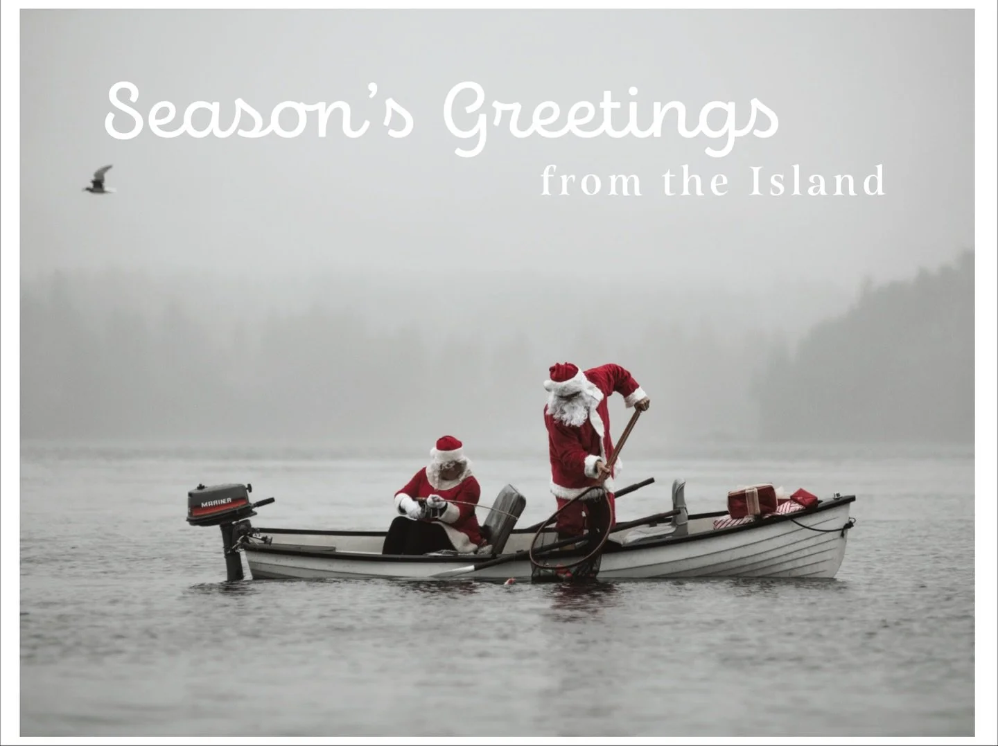 ✨ Coastal Christmas Cards Are Back! ✨

In 2009, my creative partner-in-crime Shannon Lim and I decided to start a little Christmas card project, a way to be creative and also give back.

Over the years, these tiny coastal cards have raised more than 