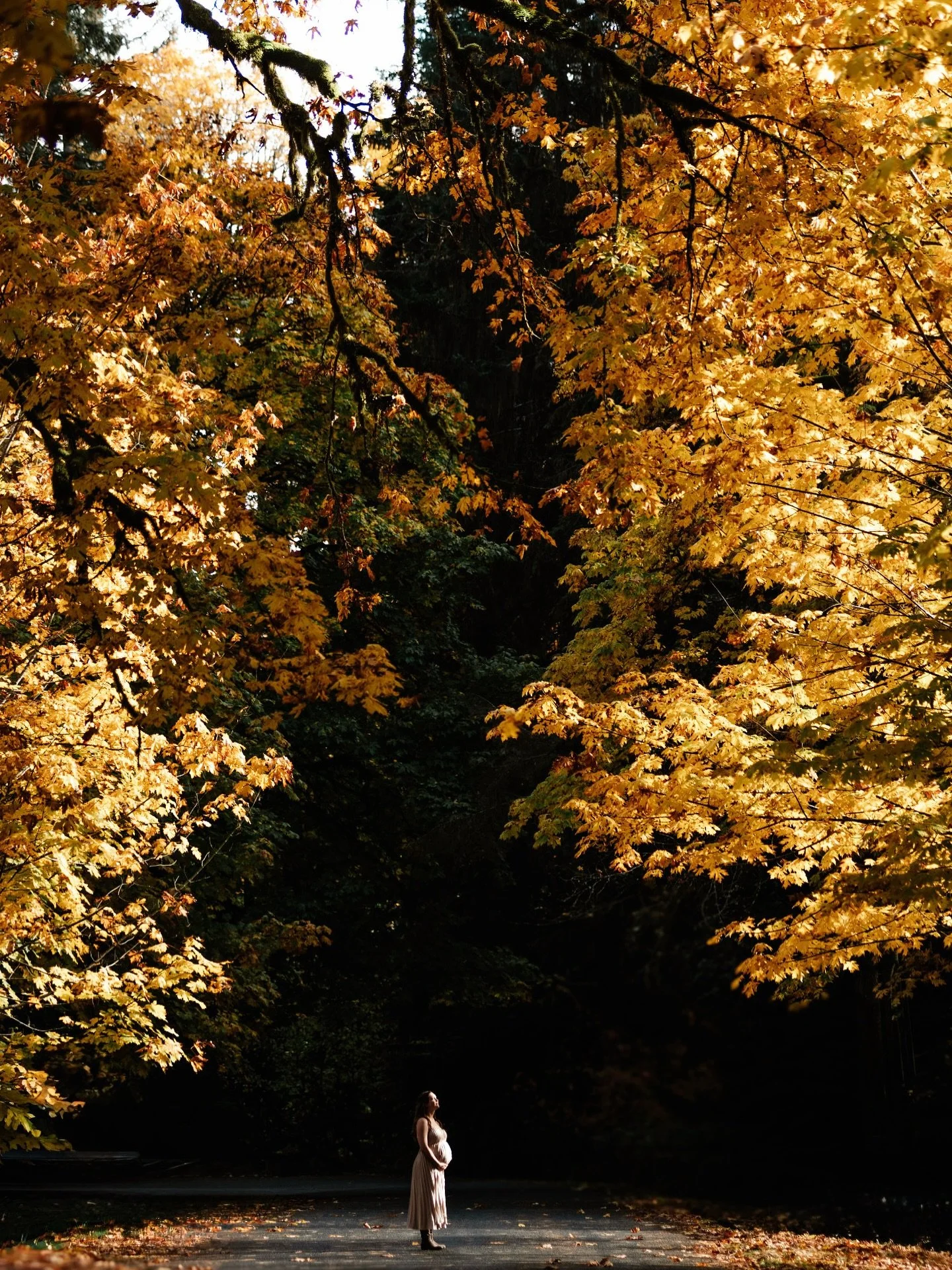 A little pumpkin is on its way 🍂