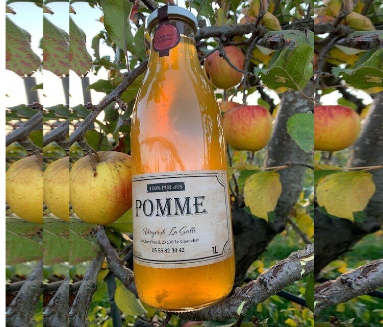 750 pomme .jpg