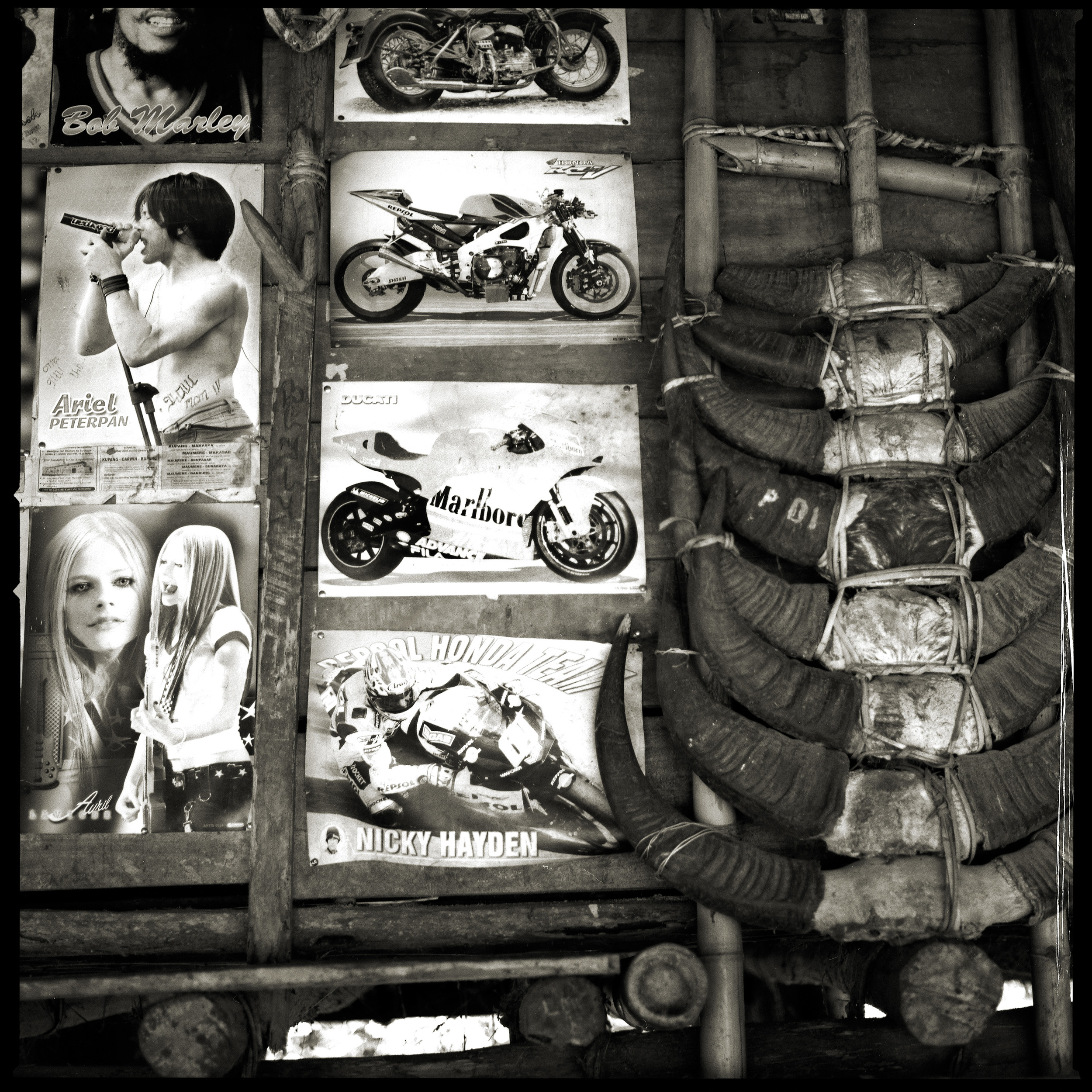 indotrip074.jpg