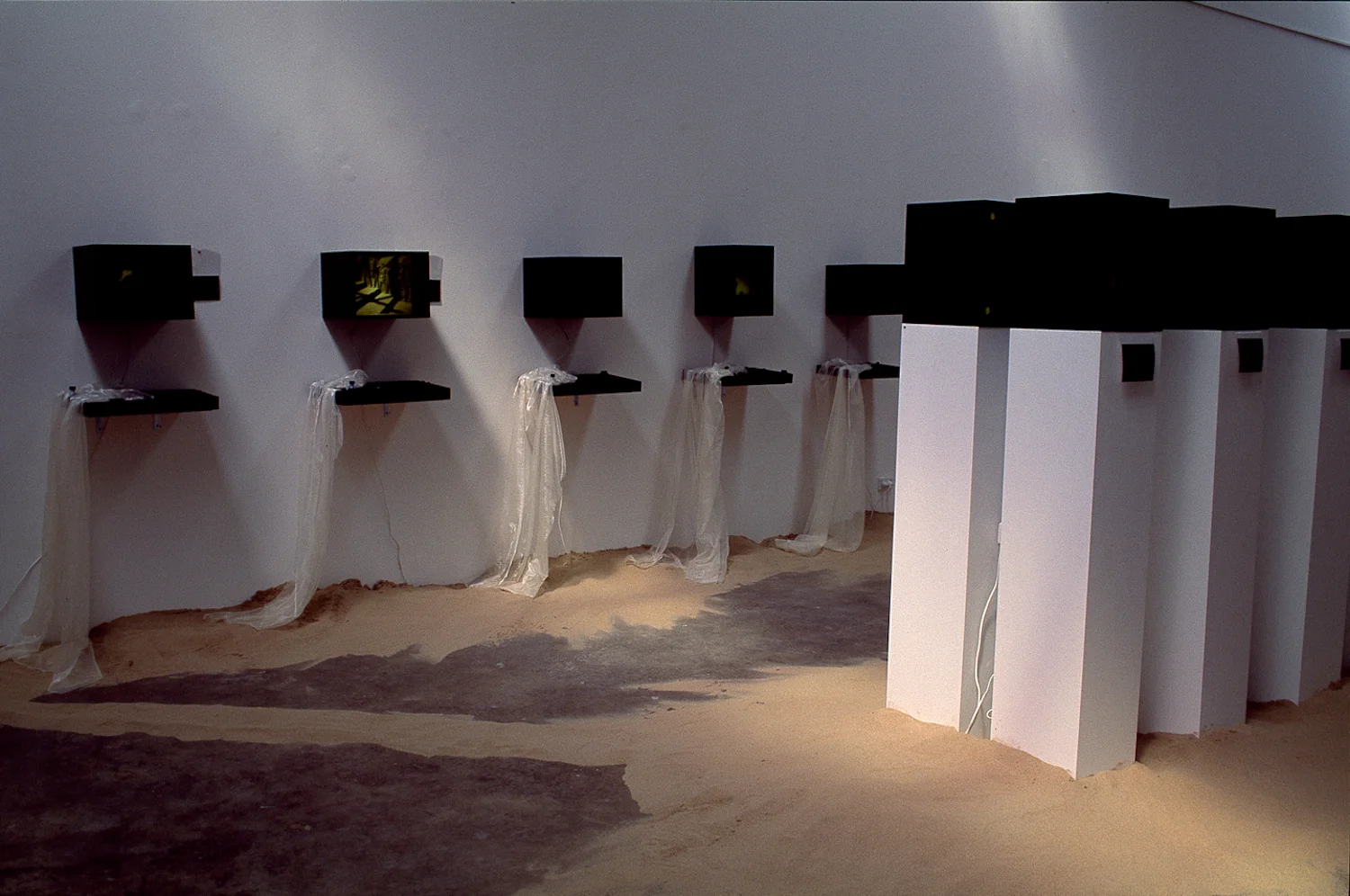 Exhibition of diptych light box and specimen tray. Light boxes on individual pedestals. 