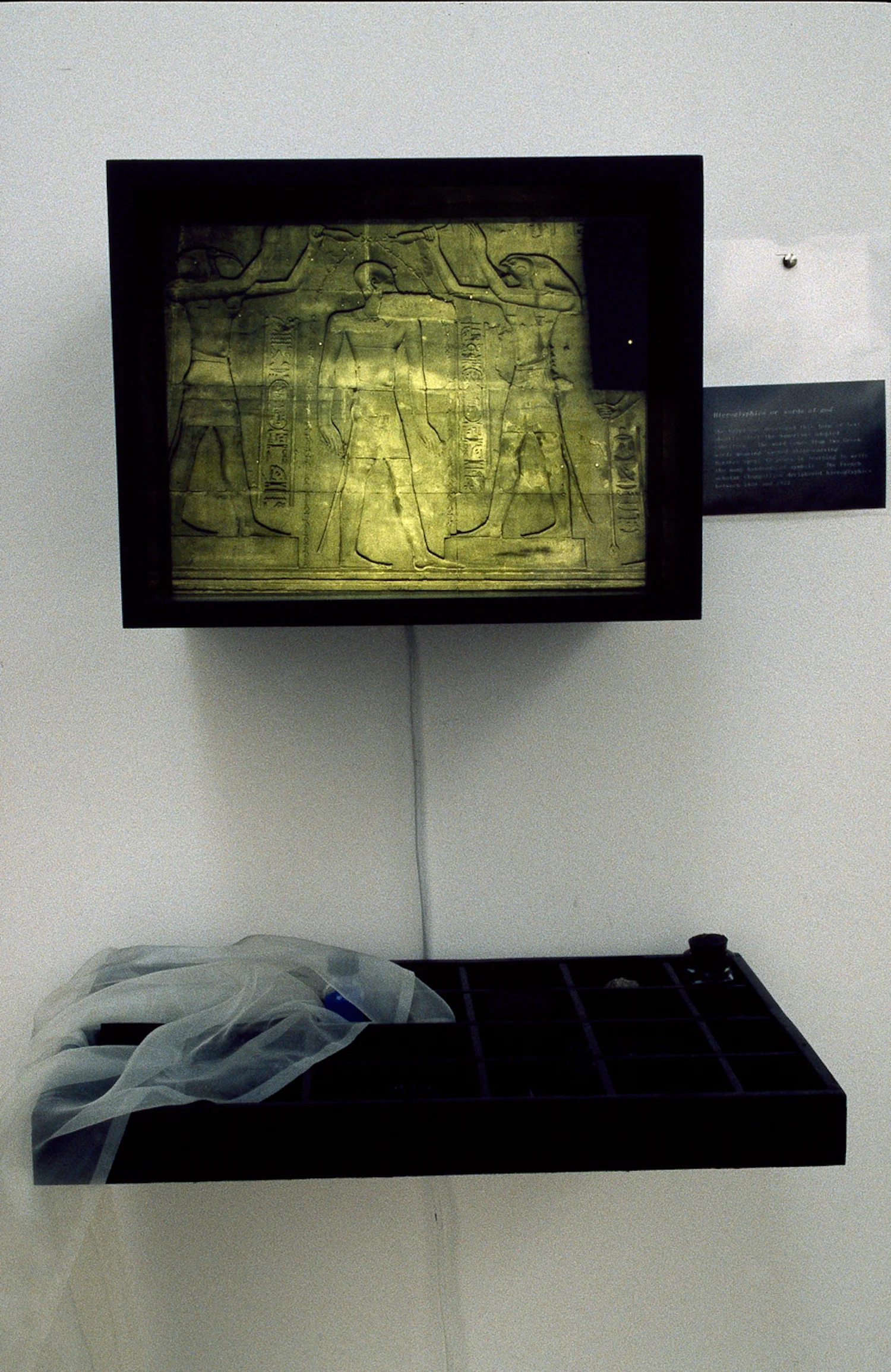 Light box and specimen tray diptych - Egypt