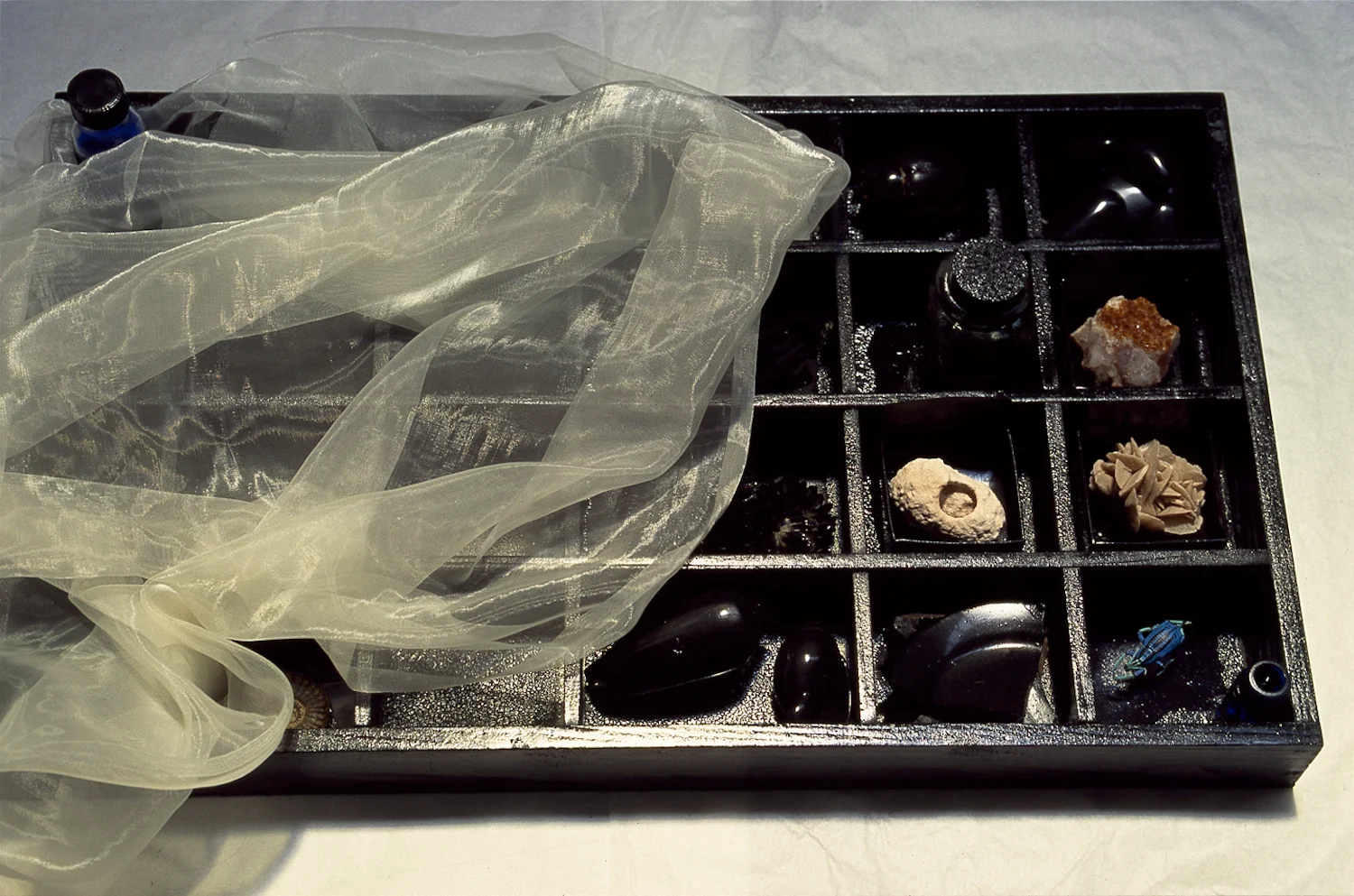 Detail of specimen tray: a collection of objects such as pigment, oil, fossils, insects, dried seeds, dried herbs, dried flowers, fabric