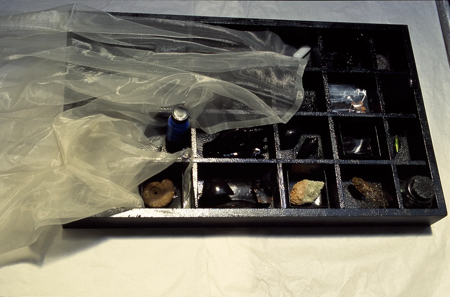 Specimen tray with assorted items: insects, dried seeds, dried herbs, dried flowers, fossils, pigment, fabric
