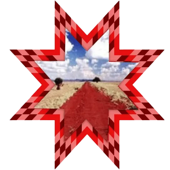 Red Road Healing Society