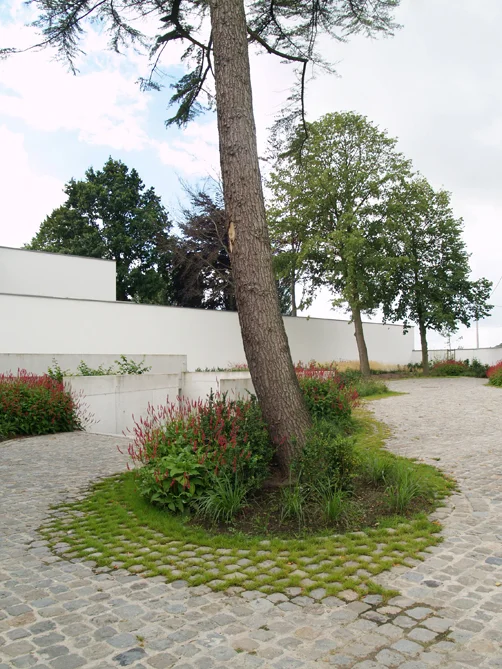 15_Baelen_04.jpg