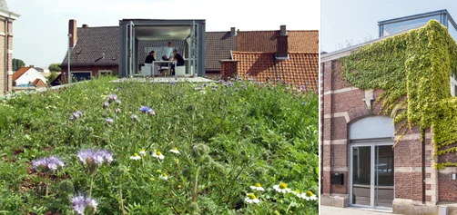 65_Buro_Groen_06_TB.jpg