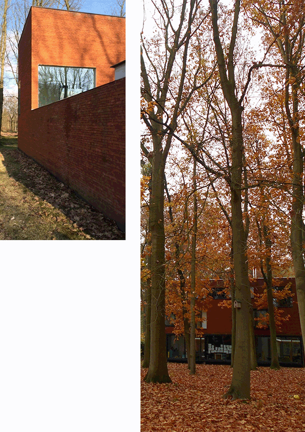 referentiebeeld.gif
