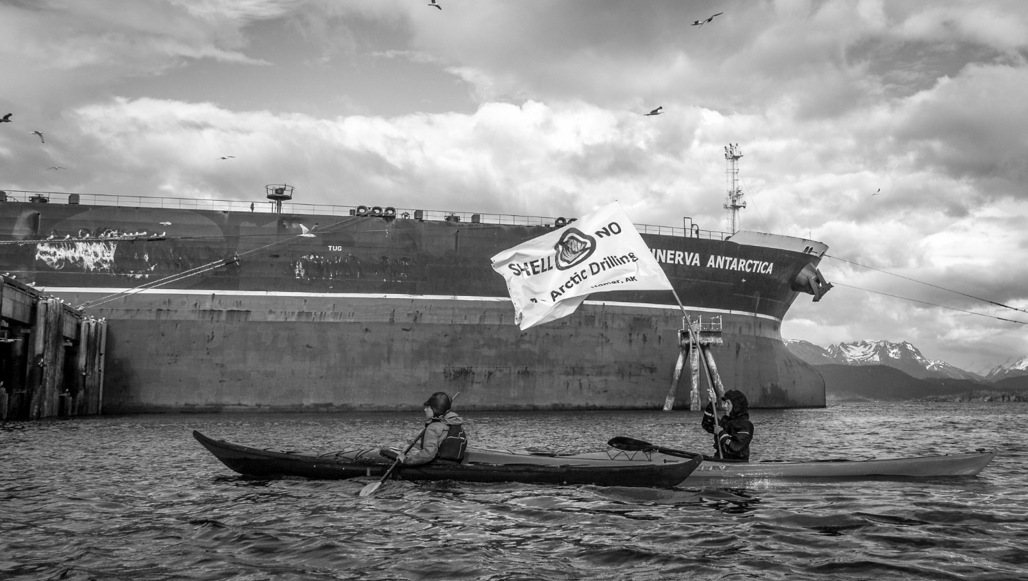 Kayaking For The Arctic