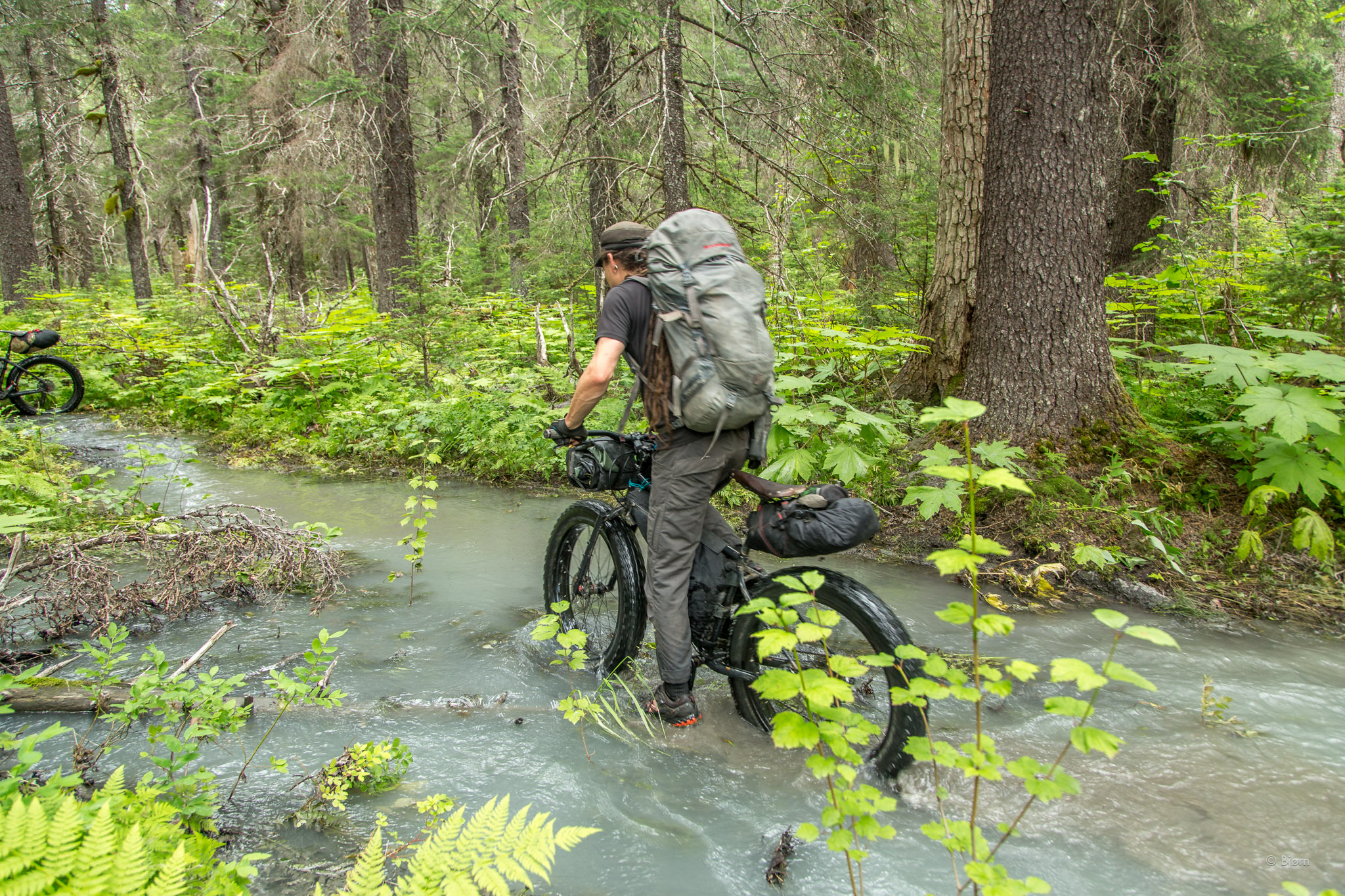 Resurrection River Trail