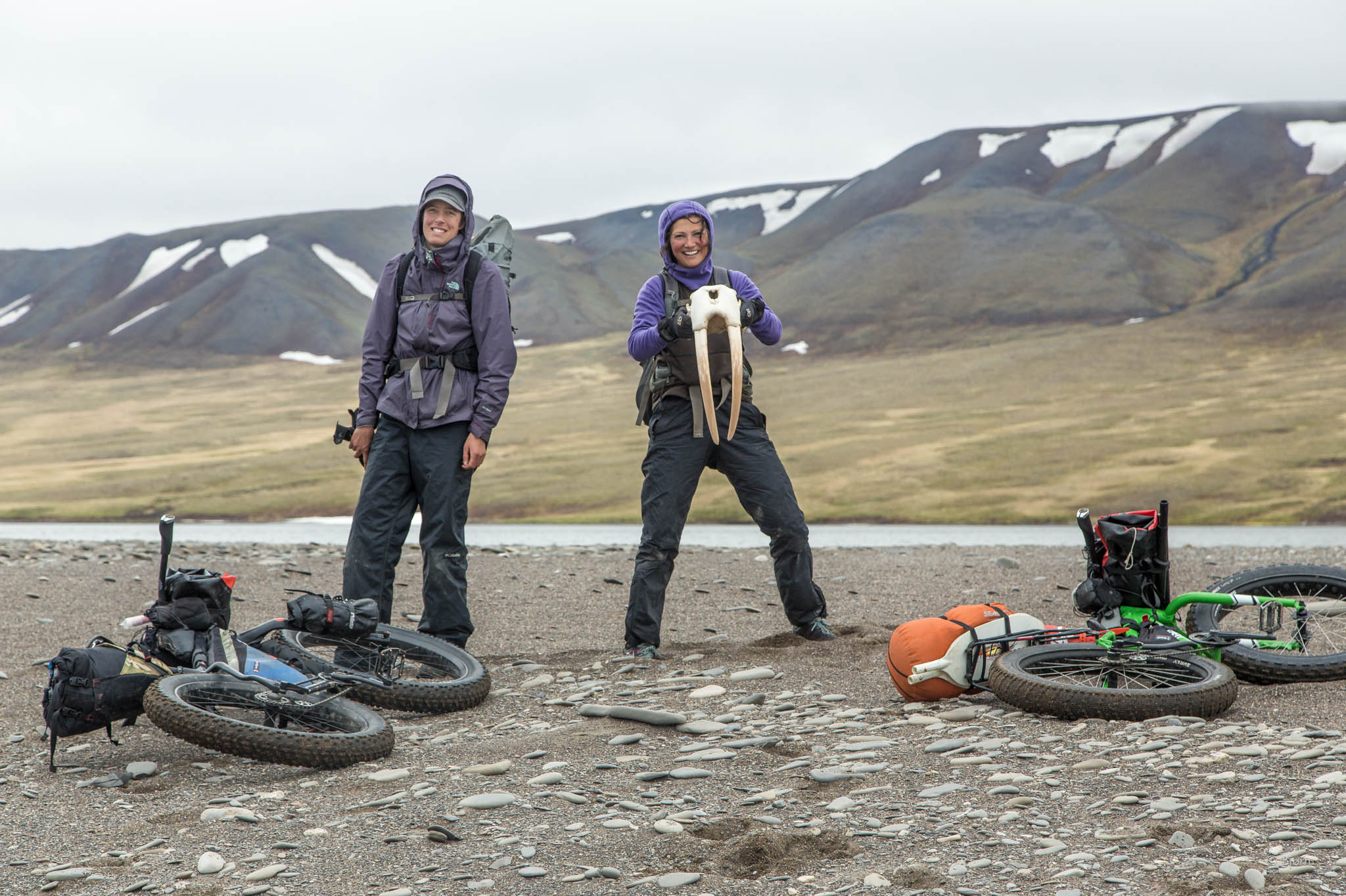  Alayne and Kim find a walrus skull - Arctic Alaska.&nbsp; 