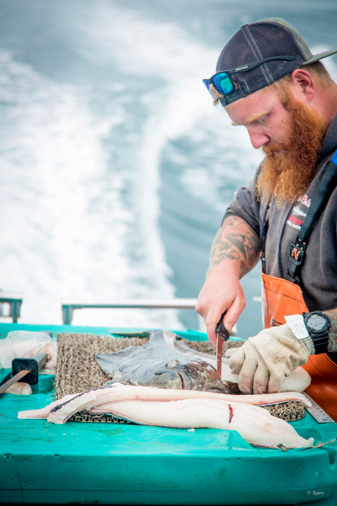  Doug fillets halibut - Kachemak Bay, Alaska.&nbsp; 