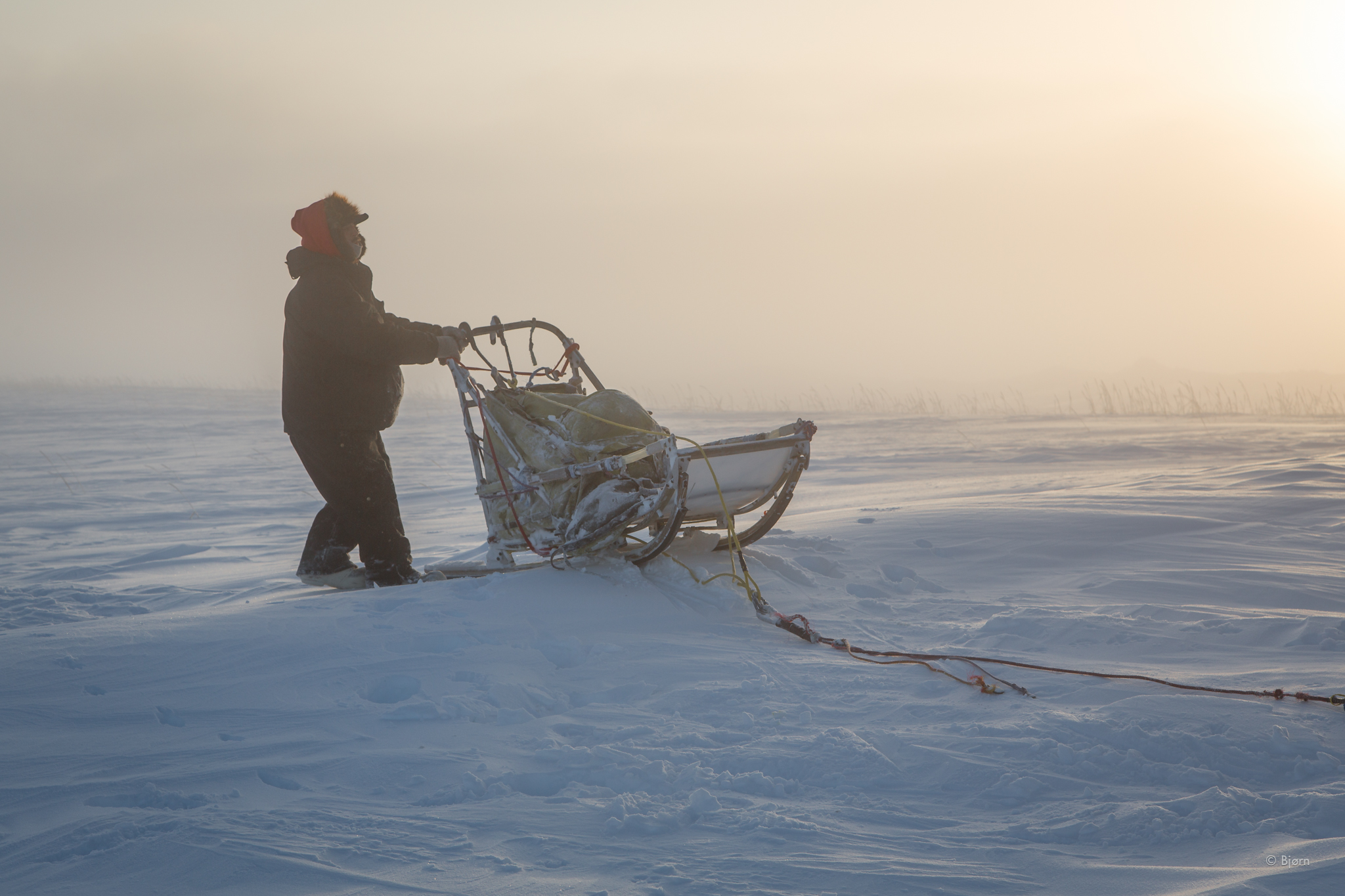  In the middle of our second night in the shelter, we awoke to a Ice Miner returning home to Nome with a team of beautiful Siberian huskies. The storm was too intense, so Reese, his seven sled dogs and Kim and I shared the small shelter in grand comp