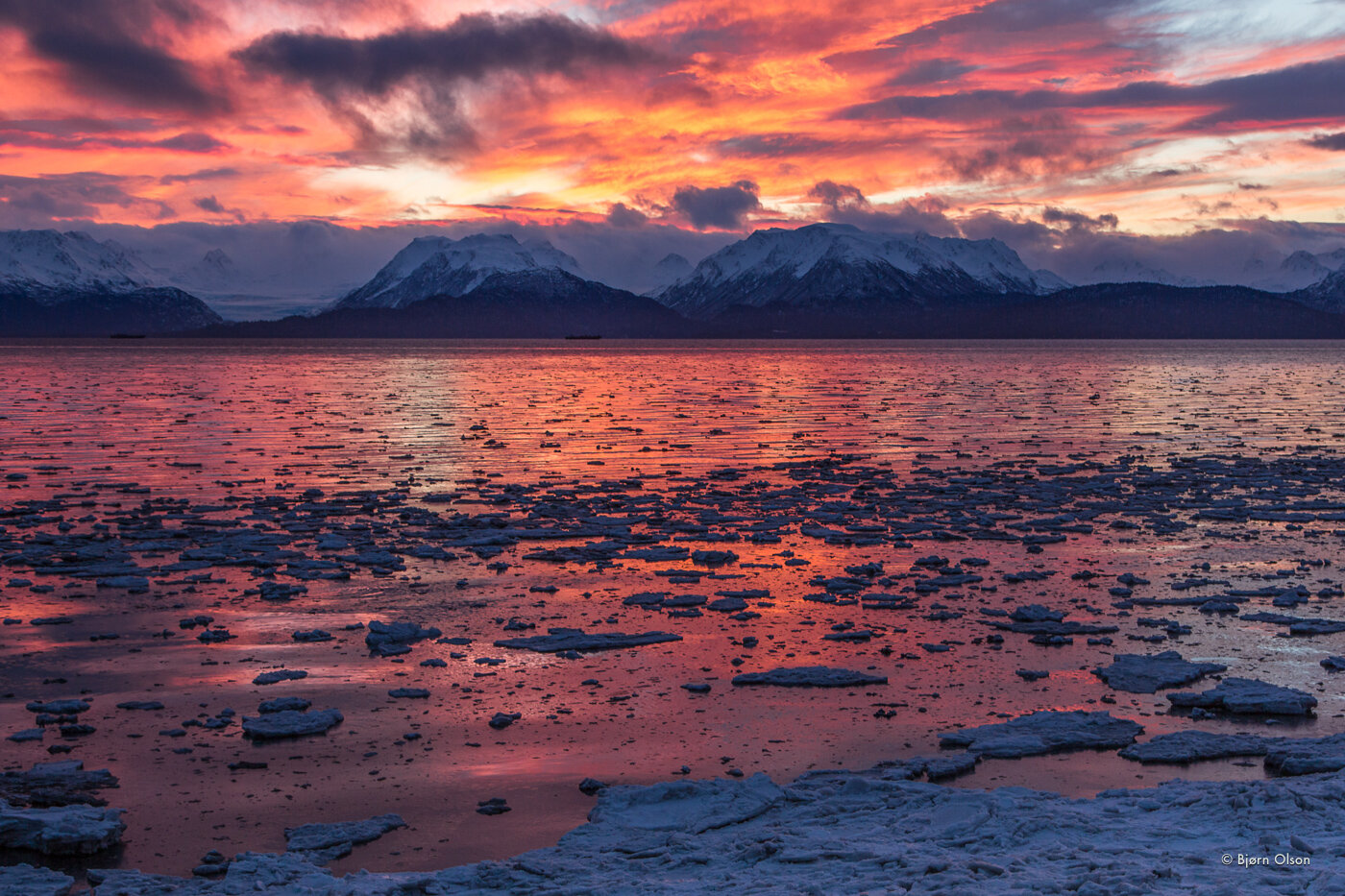 Feb bay sunrise ice.jpg