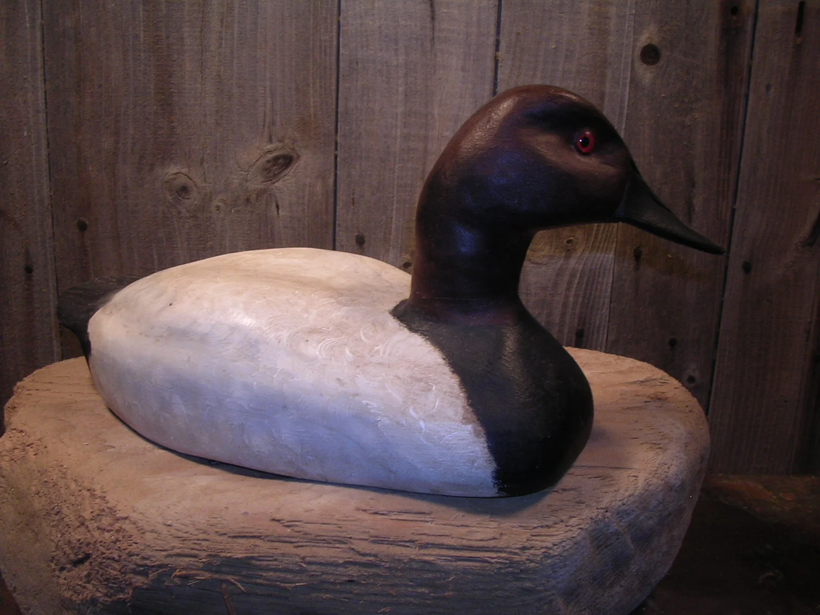 Canvasback Drake decoy